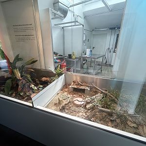 Turtle Exhibits - Conservation House