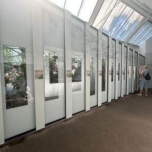 Chameleon & Gecko Exhibits - Conservation House