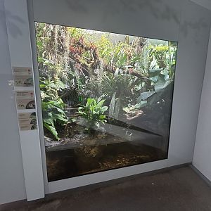 Mixed-species Exhibit - Conservation House
