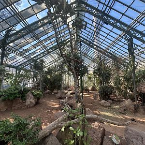Indoor Aldabra Tortoise Exhibit - Desert House