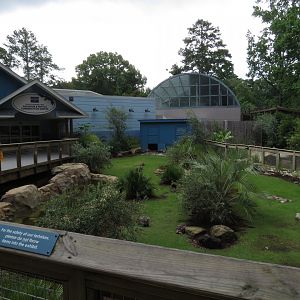 Riverbanks Zoo & Garden 06/14/2025 Radiated Tortoise Yard