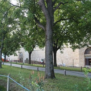 Construction of The Sanctuary, 2025-09-01