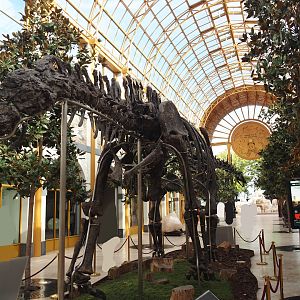 Apatosaurus skeleton 'Vulcain' (Apatosaurus species nova) in entrance gallery 'Gallery of the Worlds', 2025-09-01