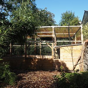 Aviary for Cattle egrets used in bird show and free-flight trainings, naer the Oasis greenhouse, 2025-09-01