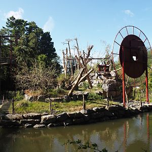 Qinling golden snub-nosed monkey island, 2025-09-01