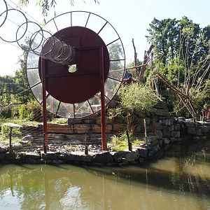 Qinling golden snub-nosed monkey island, 2025-09-01