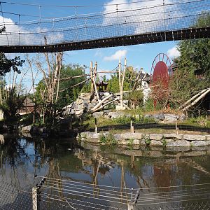 Qinling golden snub-nosed monkey island, 2025-09-01