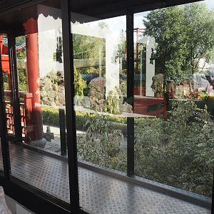 Corridor connect Qinling golden snub-nosed monkey buildings 2025-09-01