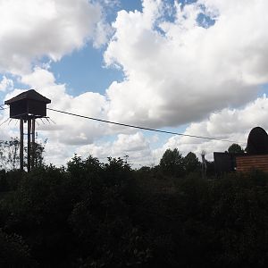 New Yellow-cheeeked gibbon house and exhibit structures above Asian elephant savanna, 2025-09-01