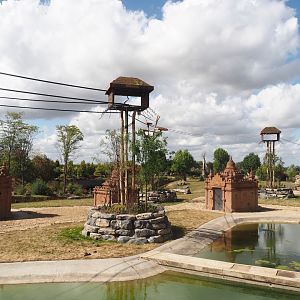 New Yellow-cheeeked gibbon exhibit structures above Asian elephant savanna, 2025-09-01