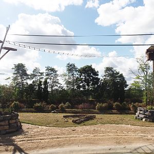 New Yellow-cheeeked gibbon exhibit structures above Asian elephant savanna, 2025-09-01