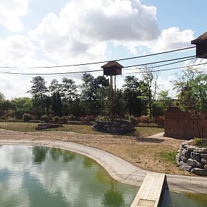 New Yellow-cheeeked gibbon exhibit structures above Asian elephant savanna, 2025-09-01