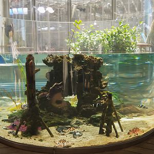 Circular Mangrove Tank