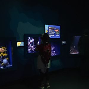'Twilight Zone Gallery' (Smaller exhibits)