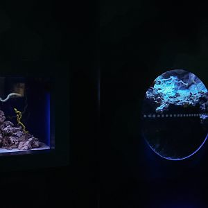 'Twilight Zone Gallery' (smaller exhibits)