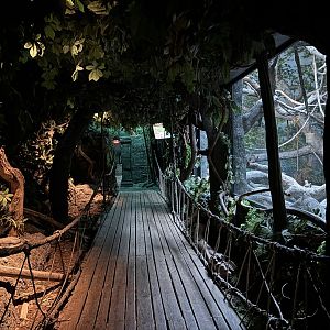 Cincinnati Zoo - Jungle Trails - African Animals Building
