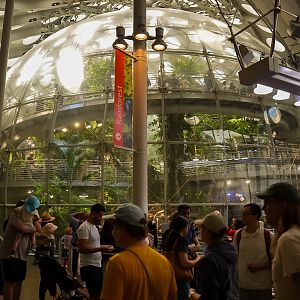 'Osher Rainforest Dome' Outer View