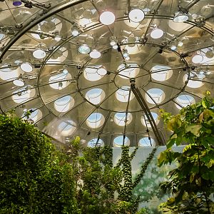 'Osher Rainforest Dome' Canopy