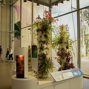 Open Air Plant exhibit (Color of Life)