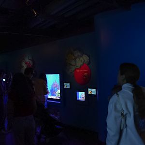 'Hidden Reef' Gallery