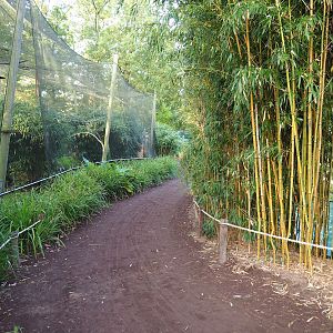 Walkway between Demoiselle crane aviary and Asiatic lion exhibit, 2023-10-04