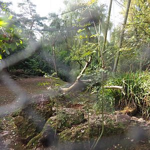 Australian waterfront aviary, 2023-10-04