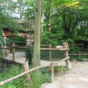Bush dog viewing area, 2023-10-04