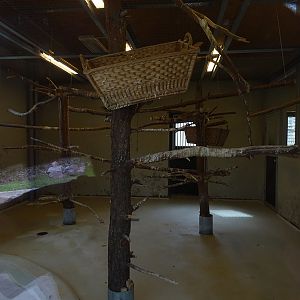 Amerika-Tierpark: Flamingo-Land - Indoor housing