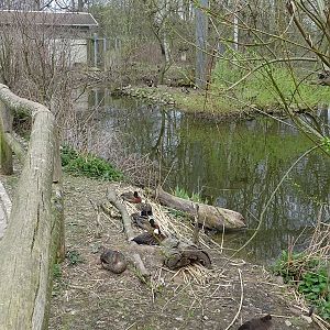 Amerika-Tierpark: Flamingo-Land