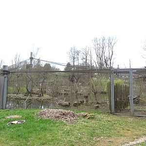 Amerika-Tierpark: Flamingo-Land