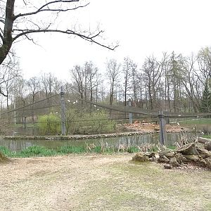 Amerika-Tierpark: Flamingo-Land