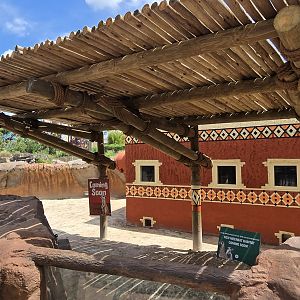 Edge of Africa - coming soon (meerkats)