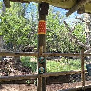 Wild Oasis - Giant anteater (and others)