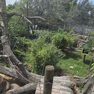 Wild Oasis - Giant anteater (and others)