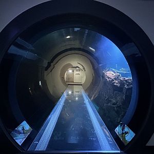 Aquarium Tunnel
