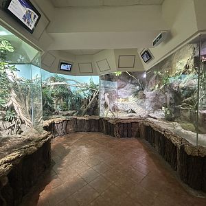 Various Reptile Exhibits