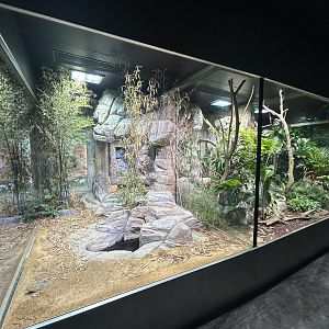 Various Reptile Exhibits