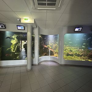 Aquarium Tank