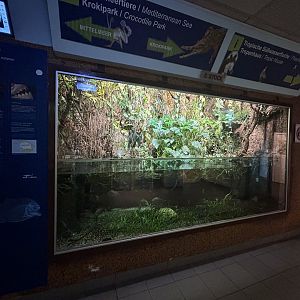 Amazon River Exhibit