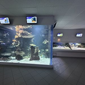 Various Aquarium Tanks