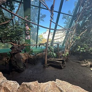 Rainforest Hall
