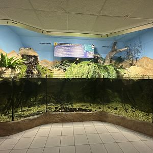 Sturgeon Tank