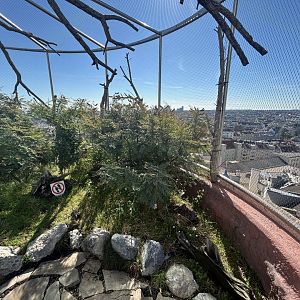 Outdoor Australia Aviary