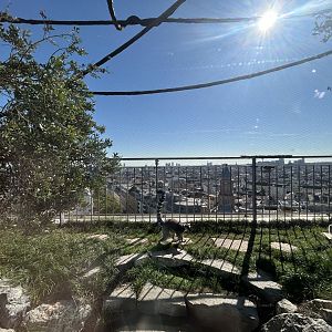 Outdoor Madagascar Exhibit (3 Species)