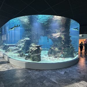 Cylindrical Aquarium Tank