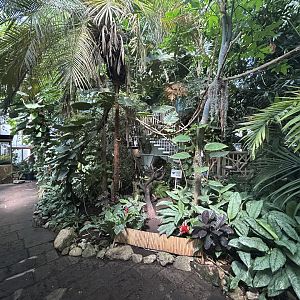 Blumengärten Hirschstetten - Palmenhaus