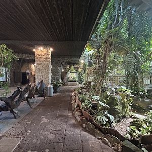 Blumengärten Hirschstetten - Palmenhaus