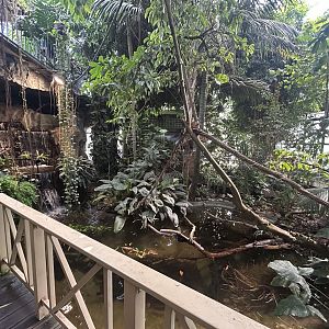 Blumengärten Hirschstetten - Palmenhaus