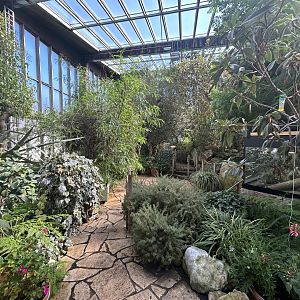 Blumengärten Hirschstetten - Palmenhaus