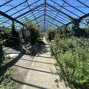 Blumengärten Hirschstetten - Bird House